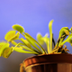 Image for article titled Shooting Challenge Freelensing Gallery 2
